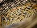 11 Basket Weaving