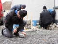 1 Dry Stone Wall Building