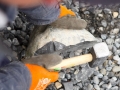 17 Dry Stone Wall Building